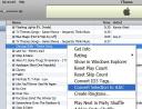 itunes_ringtones2.JPG