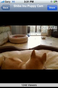 ustream_3g