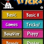 32 32