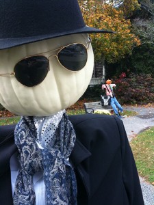 scarecrowiphone